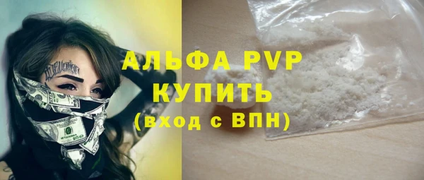 СК Володарск