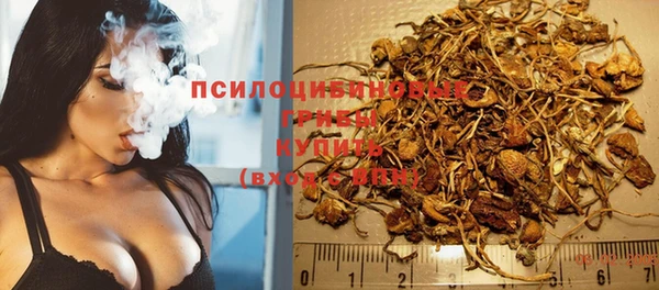 мяу мяу мука Волоколамск