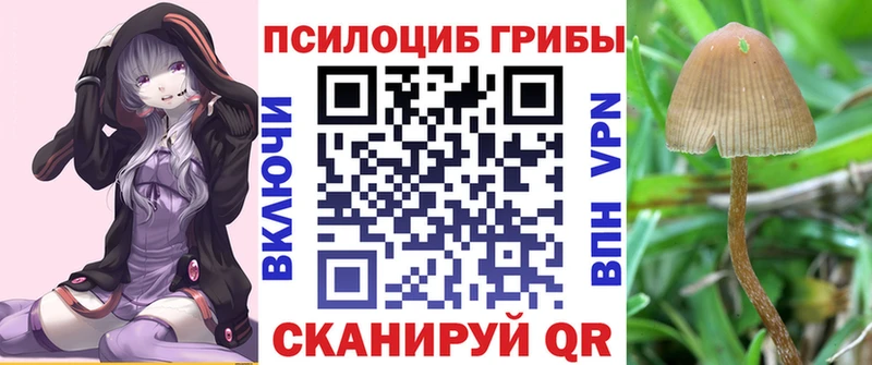 Галлюциногенные грибы прущие грибы  Высоцк 