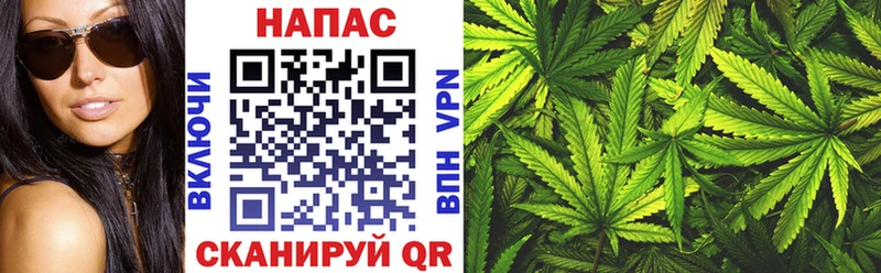 МАРИХУАНА SATIVA & INDICA Высоцк